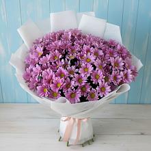 Букет цветов из:  Хризантемы в Добровольном