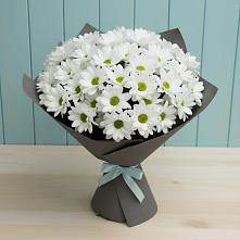 Букет цветов из:  Хризантемы в Добровольном