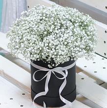 Цветочная композиция из Гипсофила в шляпной коробке #REPLACE_PRED# Добровольном