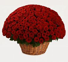 Премиум букет из: Розы #REPLACE_PRED# Добровольном